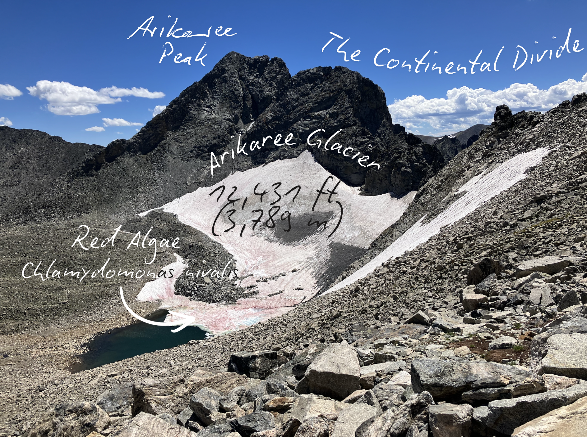 Hand-labeled view of Arikaree Glacier, red algae, Arikaree Peak, and the Continental Divide