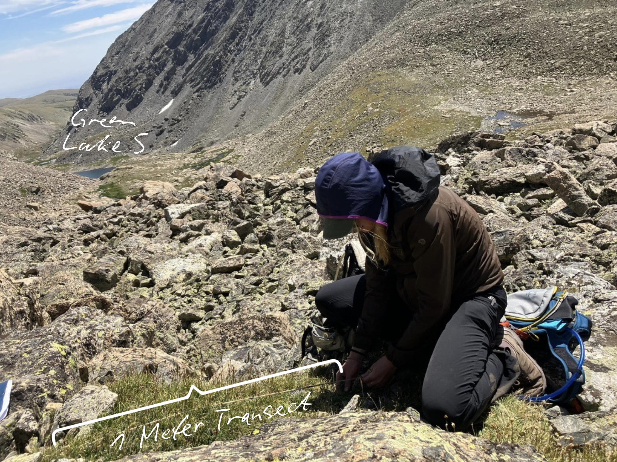 Hand-labeled field transect near Green Lake 5