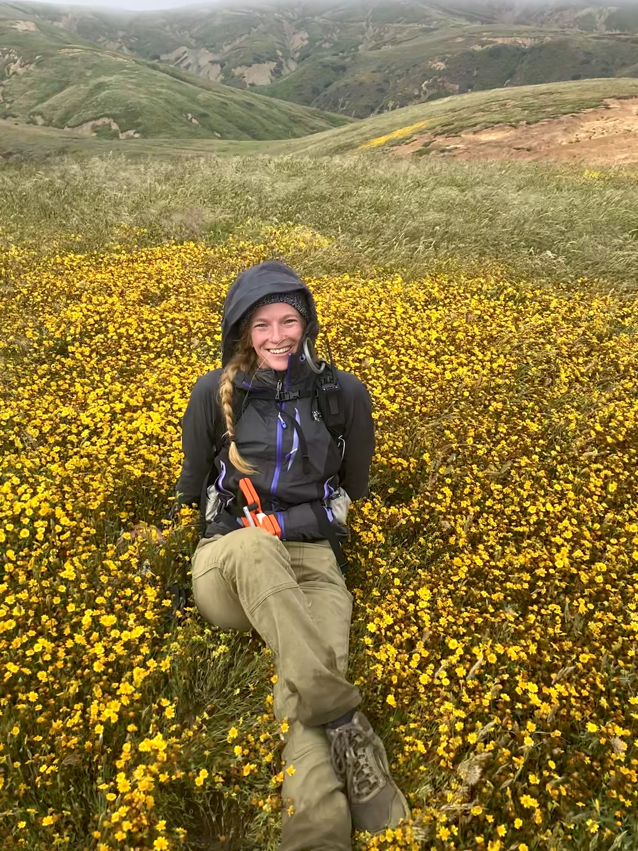 Annie Meeder seated in a field of yellow wildflowers