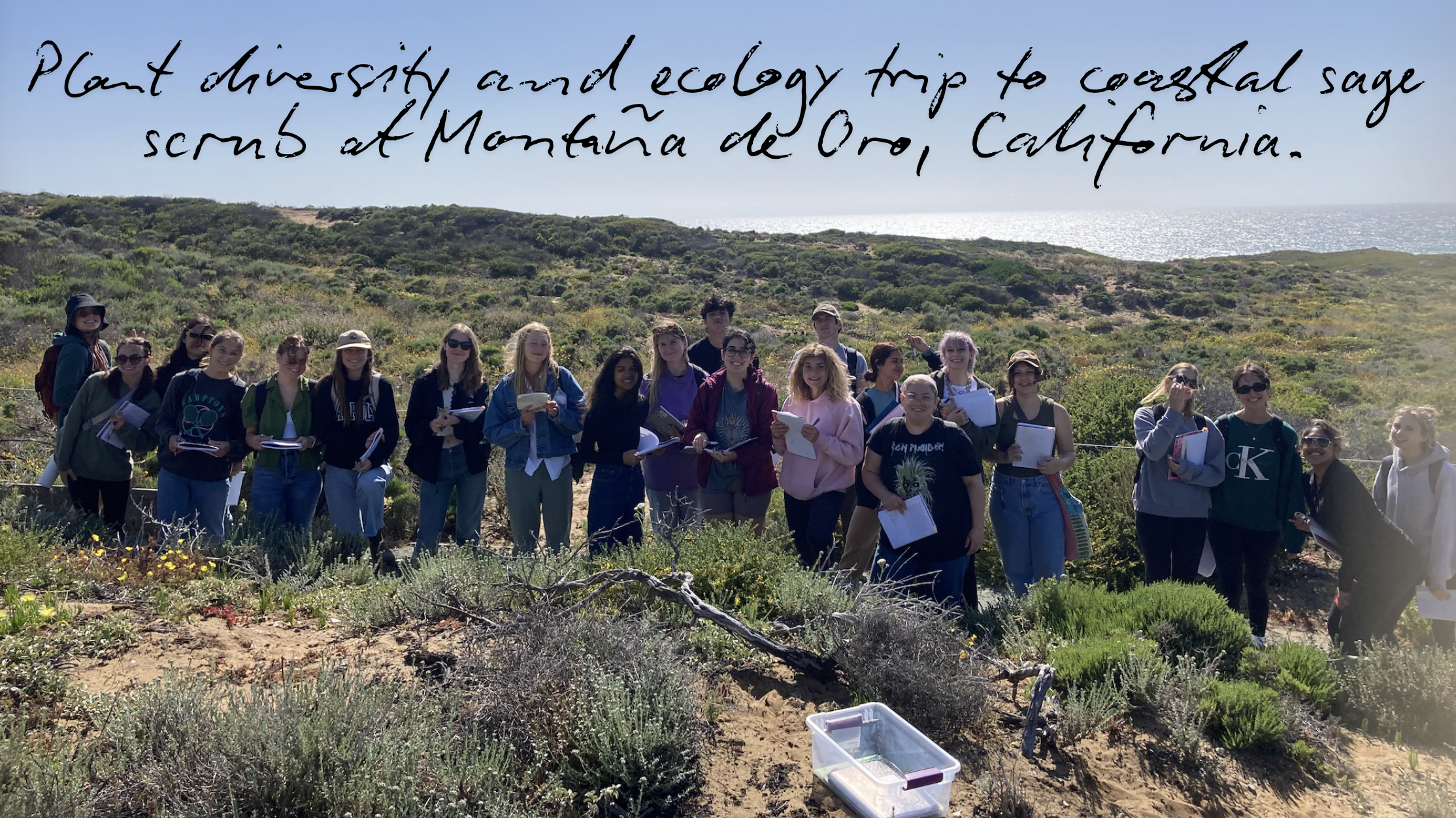 BIO 114 plant diversity and ecology field trip to coastal sage scrub at Montana de Oro