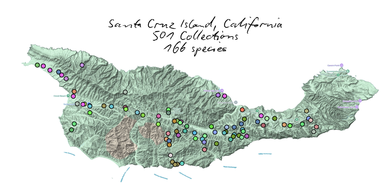Map of Santa Cruz Island plant specimen collections