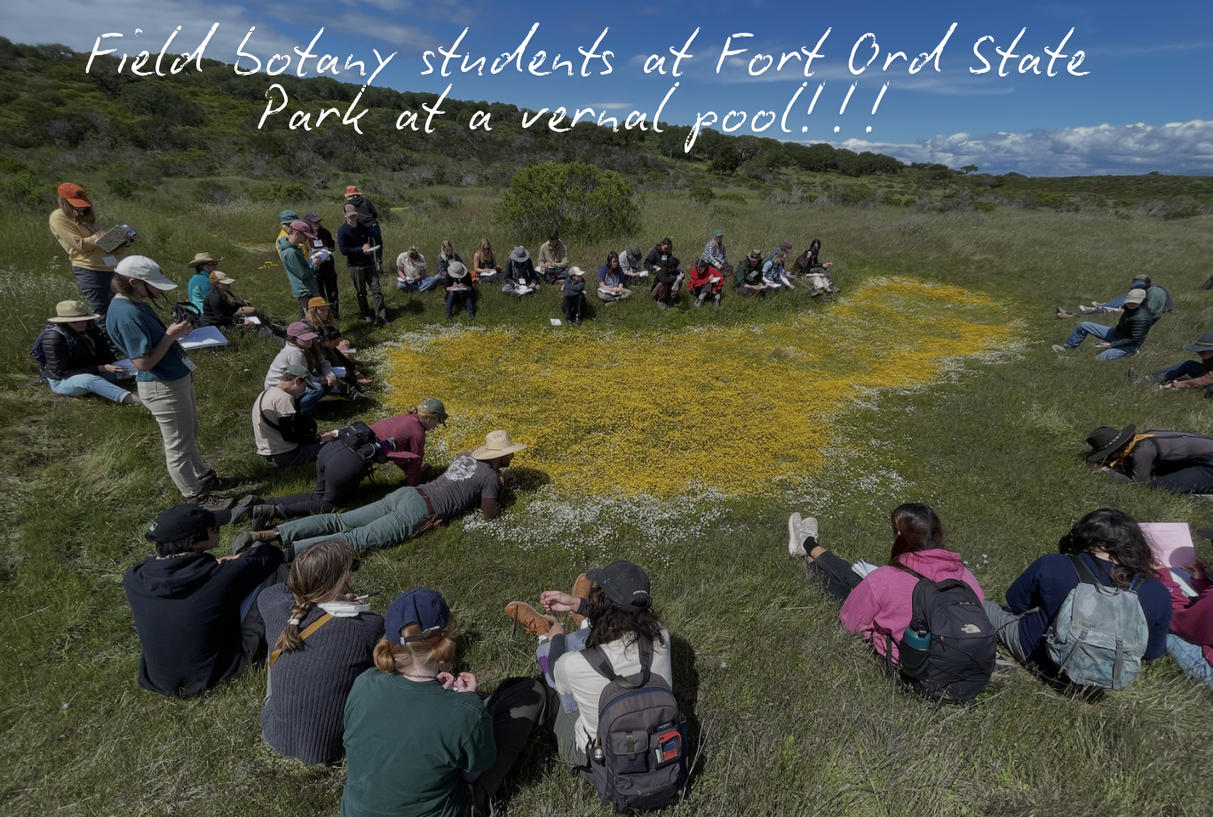 Field Botany students at Fort Ord State Park near a vernal pool